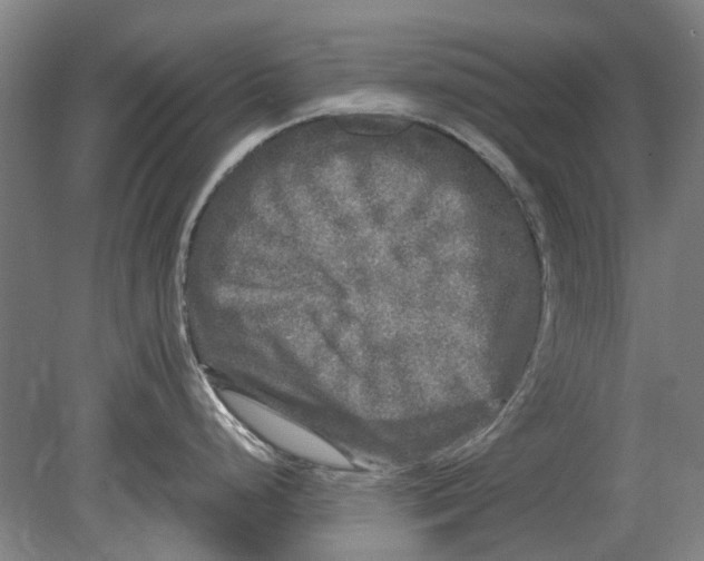 X0000080681248200701051026