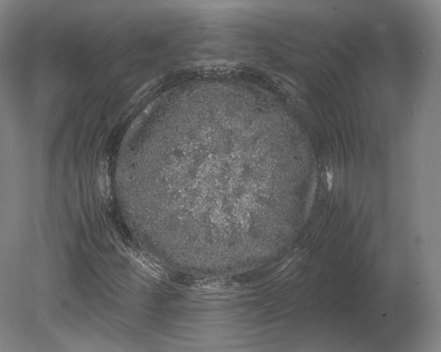 X0000080681252200701051025