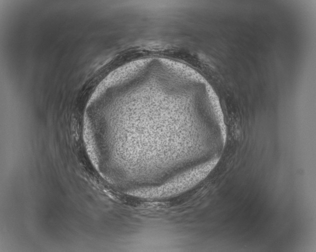 X0000080681253200701051025