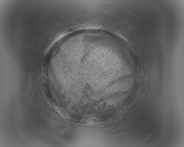 X0000080681255200701051025