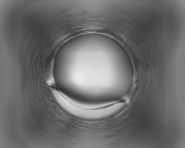 X0000080681257200701051025