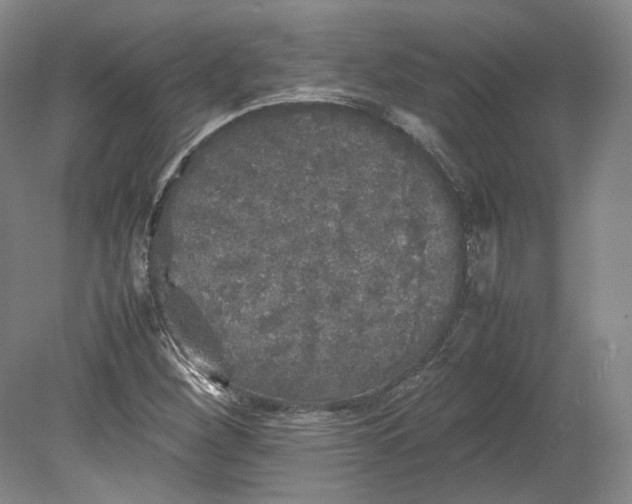 X0000080681260200701051025