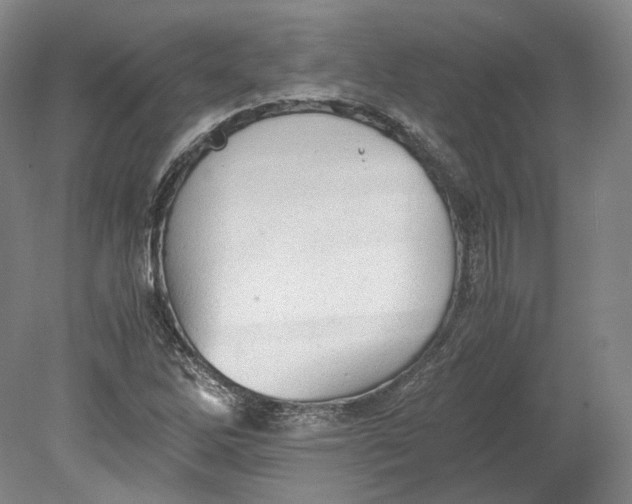 X0000080681262200701051025