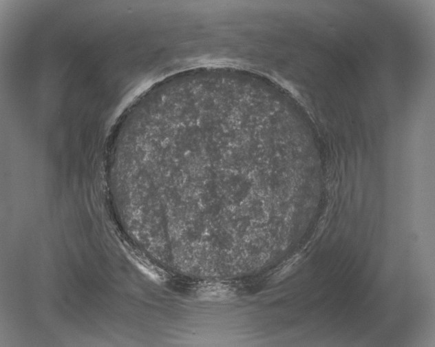 X0000080681263200701051025