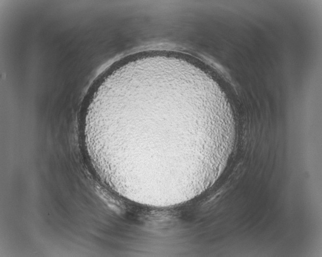 X0000080681264200701051025