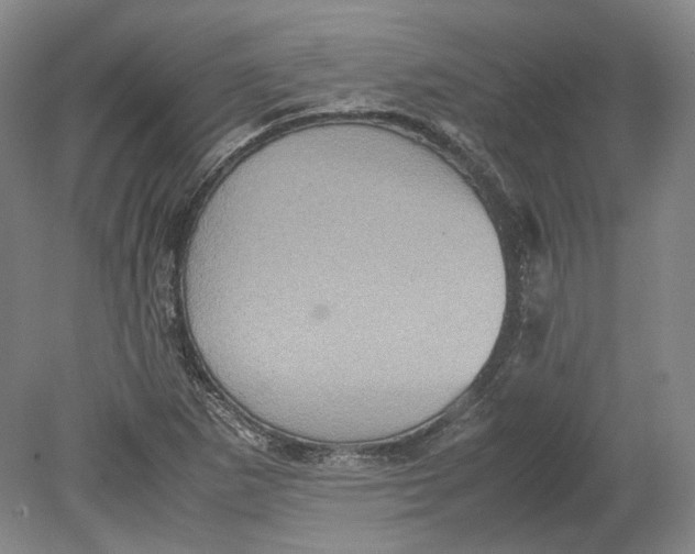 X0000080681265200701051025