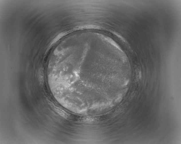 X0000080681266200701051025