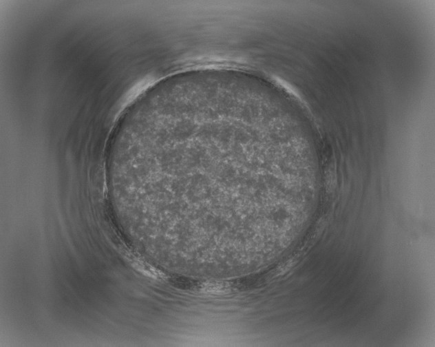 X0000080681267200701051025