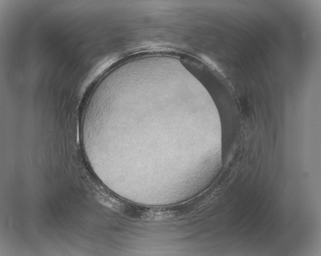 X0000080681269200701051025