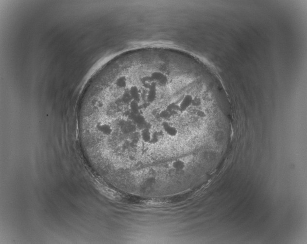 X0000080681271200701051025