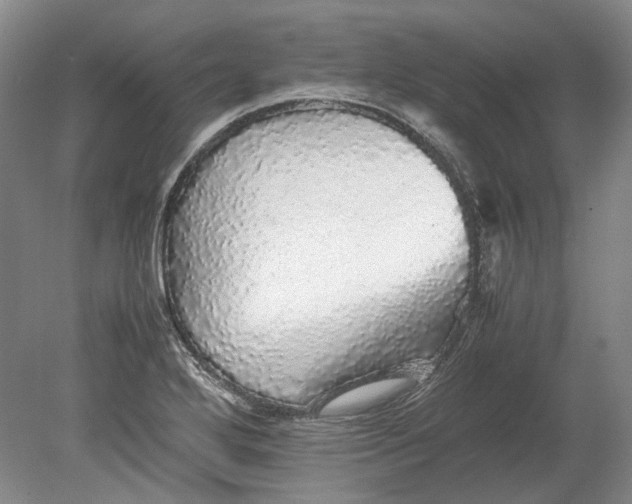 X0000080681272200701051025