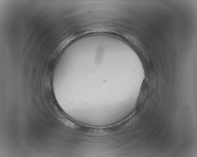 X0000080681273200701051025