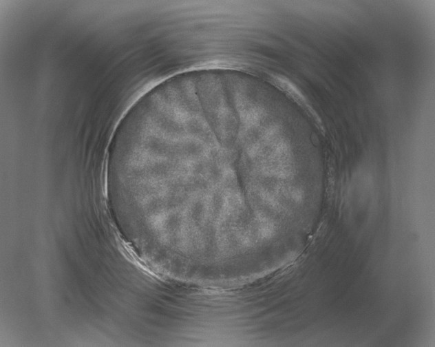 X0000080681276200701051025