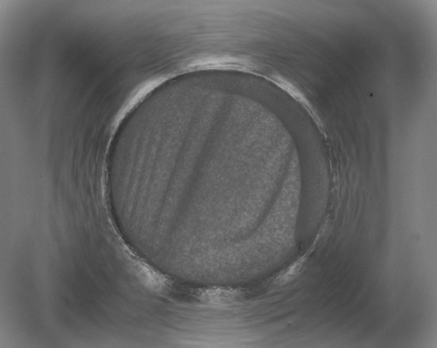 X0000080681277200701051025