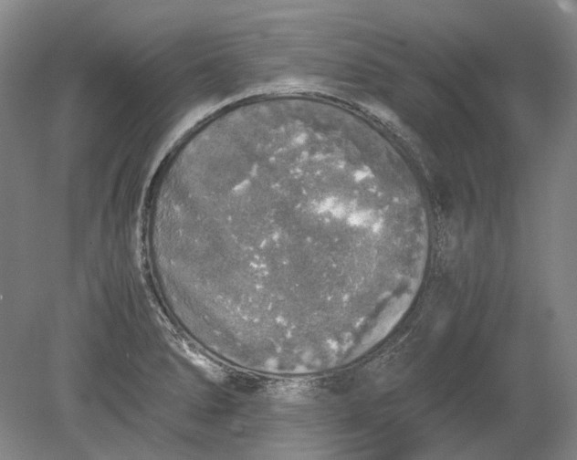 X0000080681278200701051025