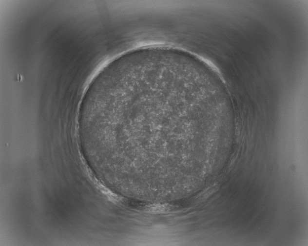 X0000080681279200701051025