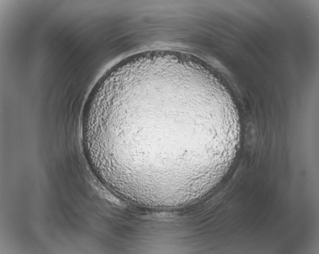 X0000080681280200701051025