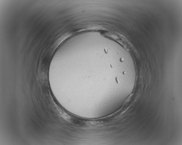 X0000080681281200701051025