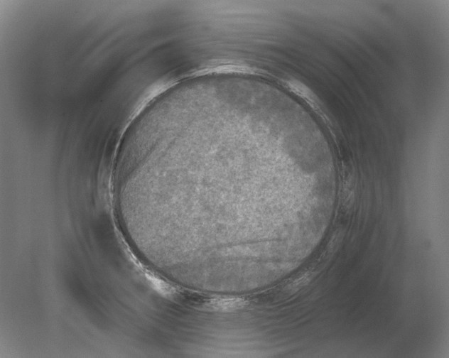 X0000080681282200701051024