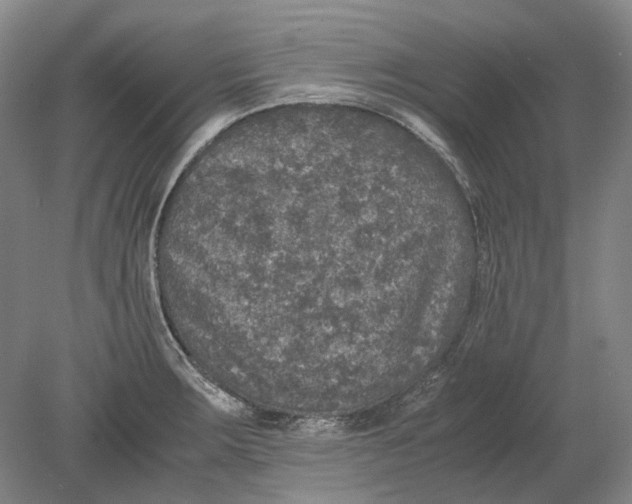 X0000080681283200701051024