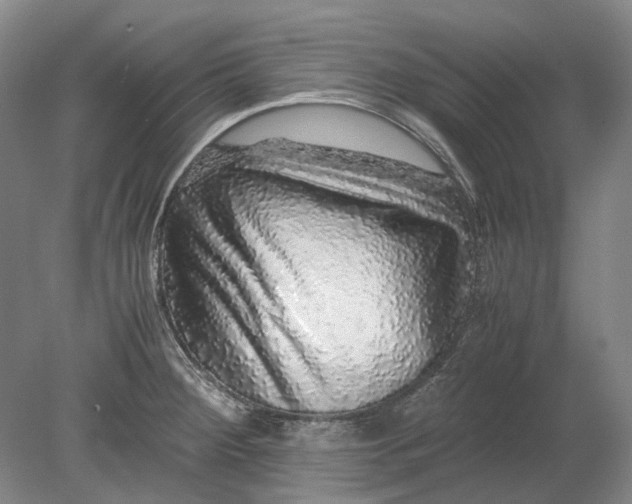 X0000080681284200701051024