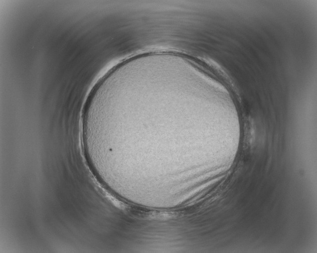 X0000080681286200701051024