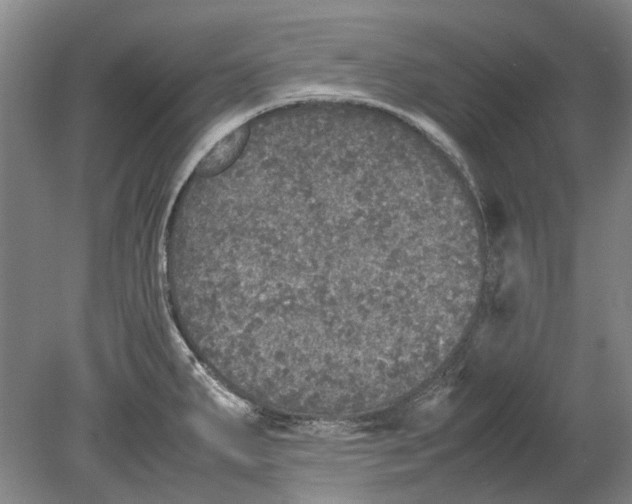 X0000080681287200701051024