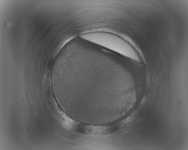 X0000080681289200701051024