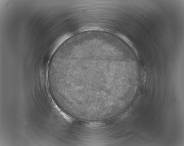 X0000080681290200701051024