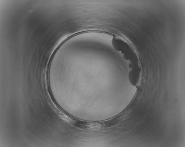 X0000080681291200701051024