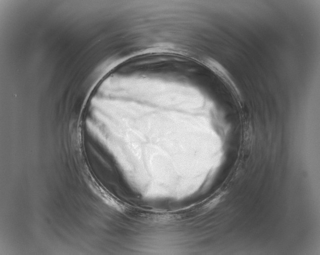 X0000080681292200701051024