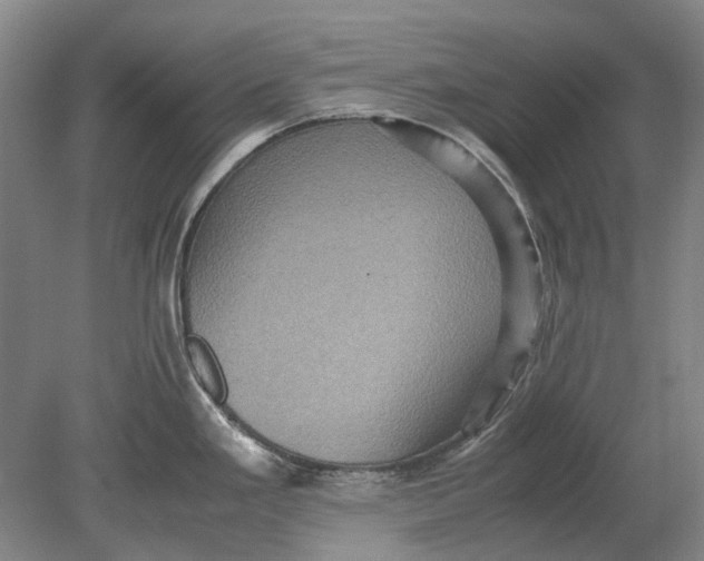 X0000080681293200701051024