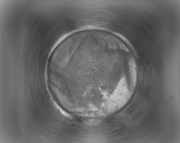 X0000080681294200701051024