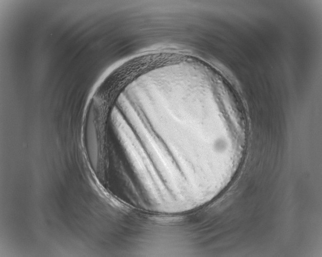 X0000080681296200701051024