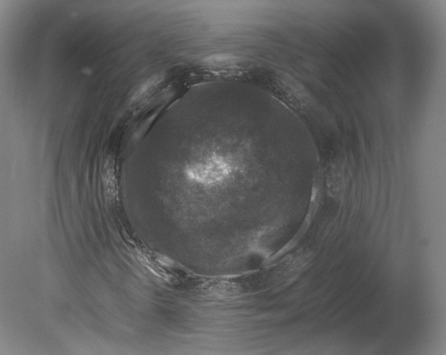 X0000080681298200701051023