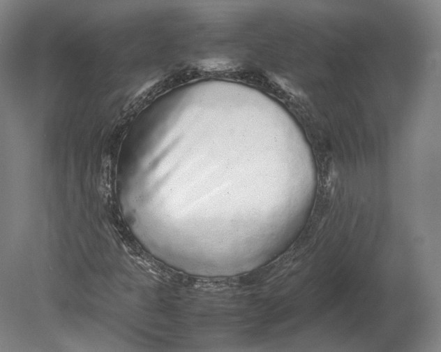 X0000080681301200701051024