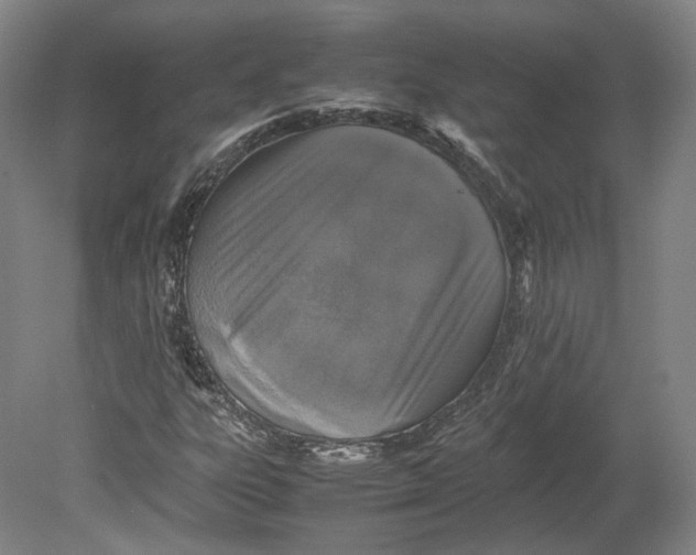 X0000080681303200701051024