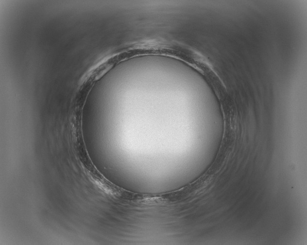 X0000080681304200701051024