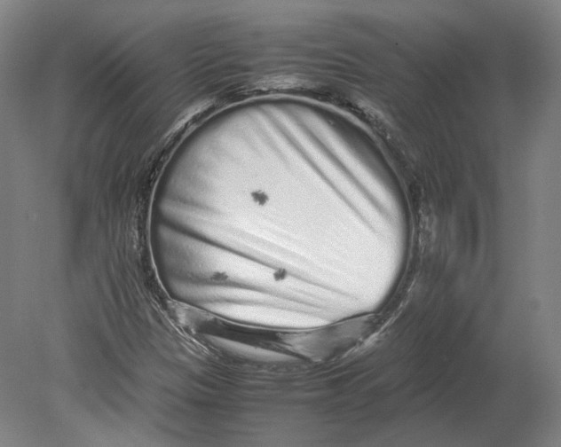 X0000080681305200701051024