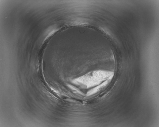 X0000080681306200701051024