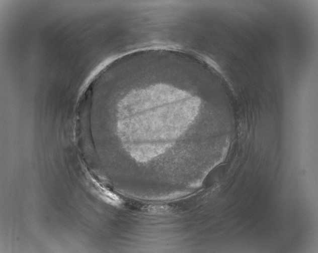 X0000080681310200701051024