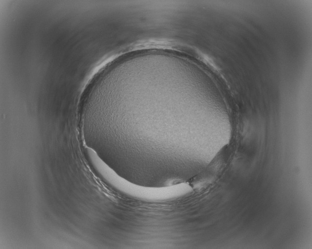 X0000080681312200701051024