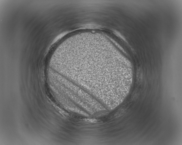 X0000080681315200701051024