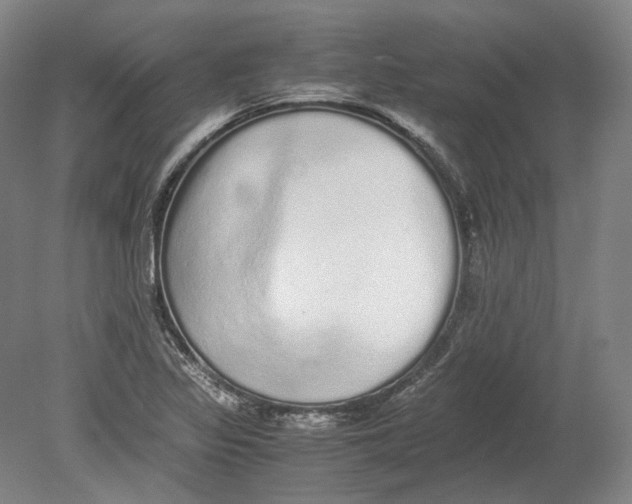 X0000080681317200701051024