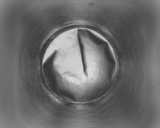 X0000080681318200701051024