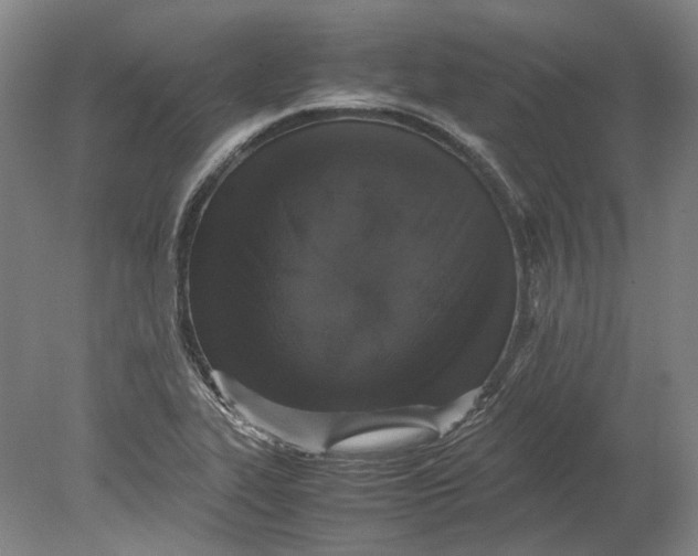 X0000080681319200701051024