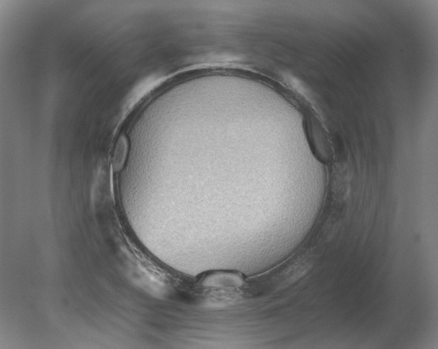 X0000080681320200701051024