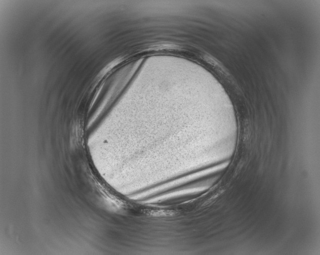 X0000080681321200701051024