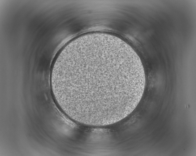 X0000080681322200701051024