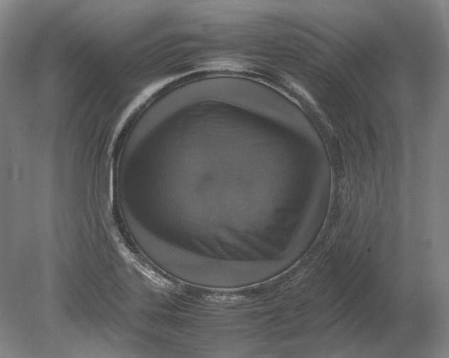 X0000080681323200701051024